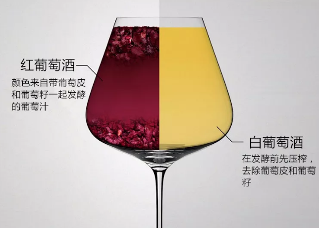 紅葡萄酒和白葡萄酒有什么不同